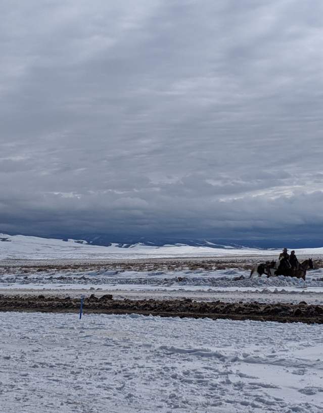 Saddle Up Your Adventure. Plan Your Wyoming Dude Ranch Stay Today!