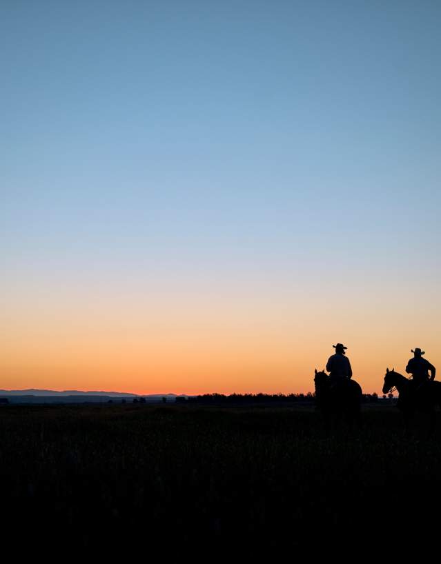 Two riders on horseback against sunset sky
