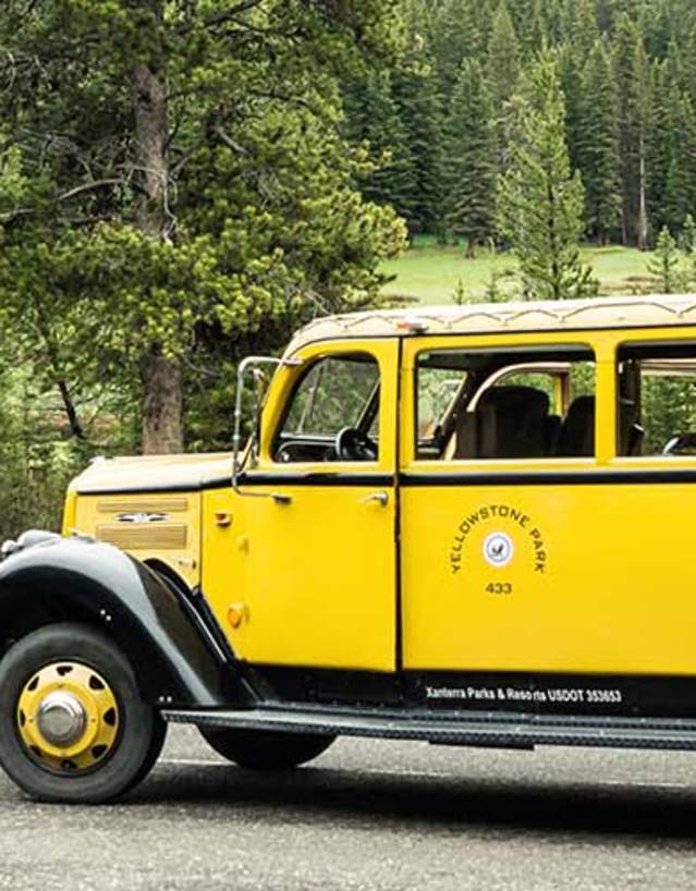 Yellowstone Park yellow bus