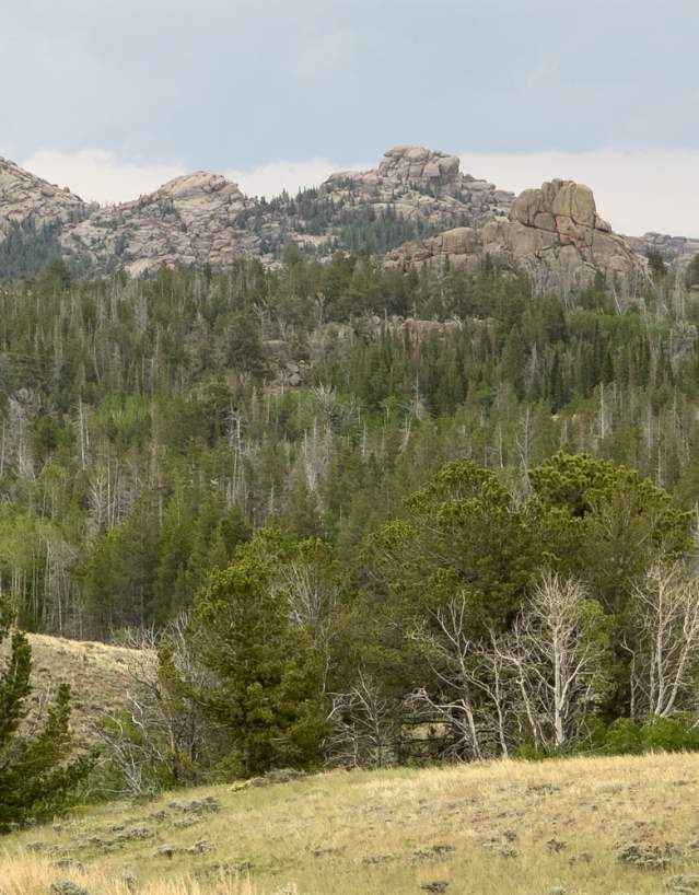 Wyoming National Forests