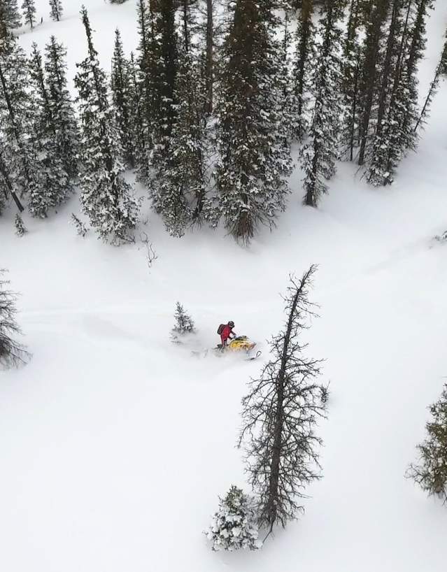 Overhead view of snowmobiling in forest