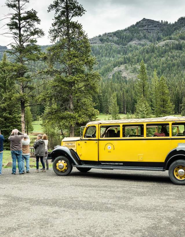 Classic Yellowstone Tour bus guiding visitiors around Yellowstone National Park