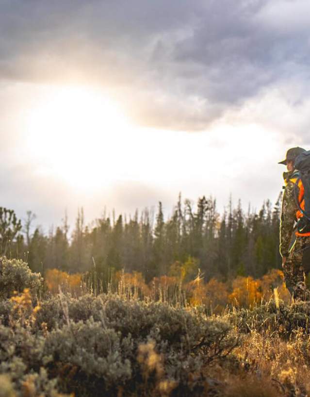 Two sportsmen with gear hiking throigh sage filled field at sunset.