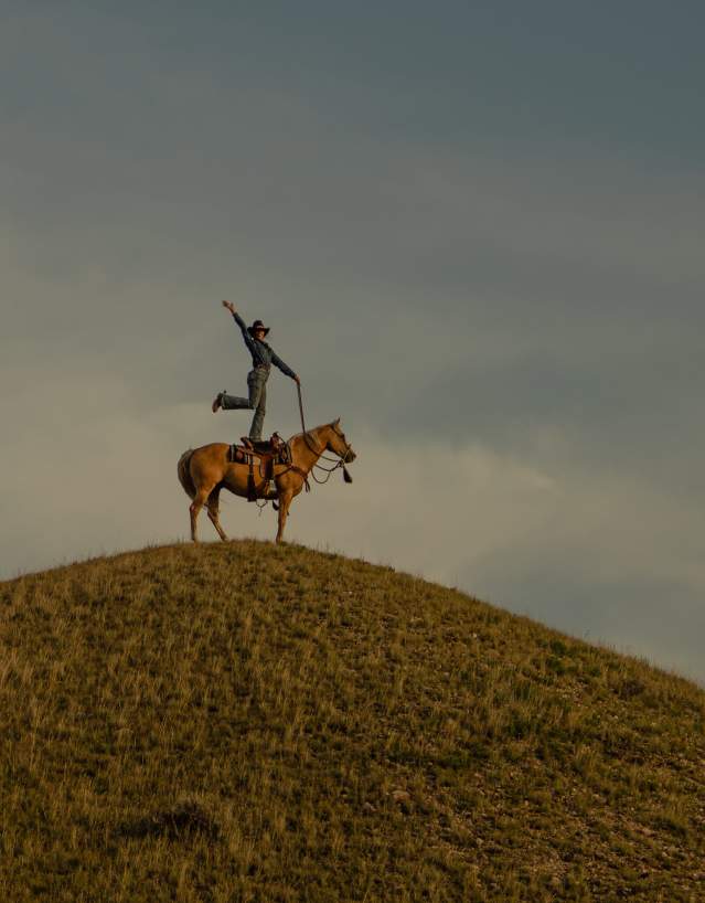 A rider stands with one arm raised on a horse at the top of a grassy hill, silhouetted against a wide sky with soft clouds.
