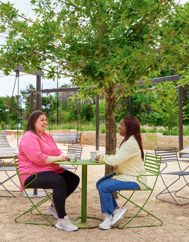 Women Meeting at the Park
