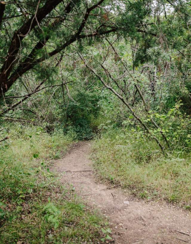 Cedar Mountain Nature Preserve