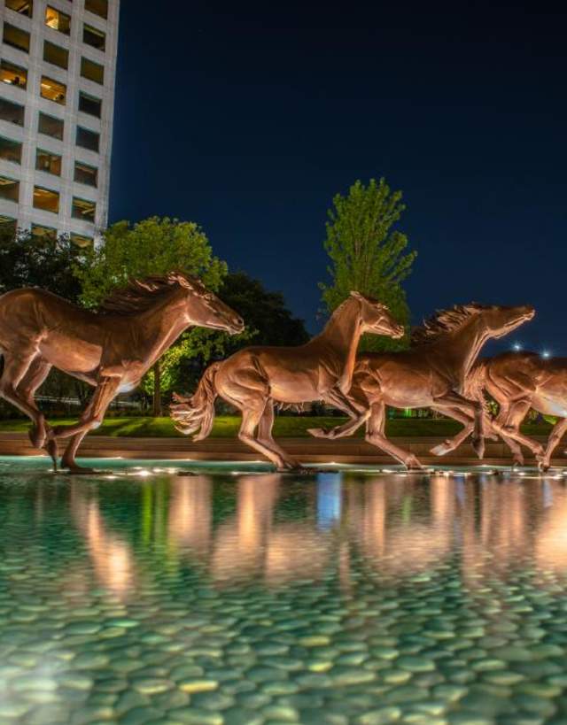 Mustangs of Las Colinas at Night