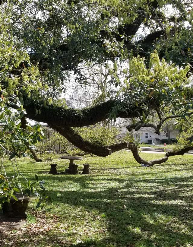 Imperial Calcasieu Museum