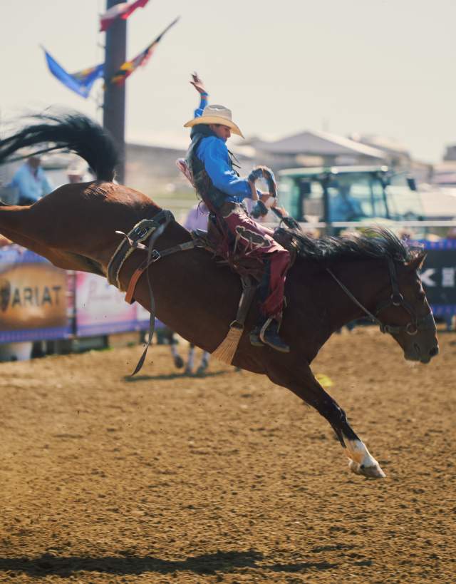 NHSFR Rodeo