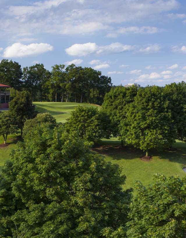 Golf Course
