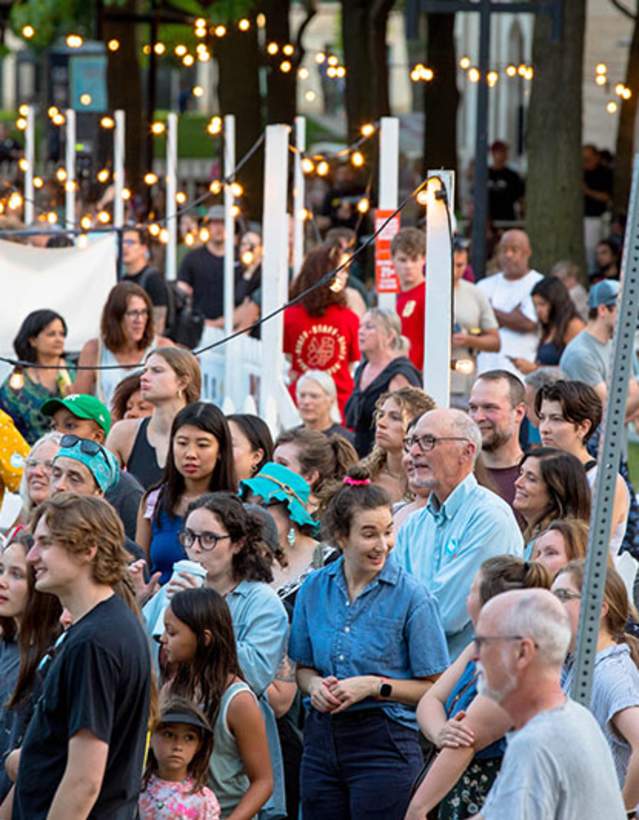 Crowd at Summer Festival