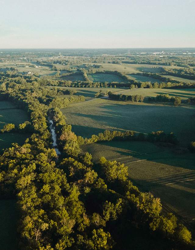 Horse Farms green landscape