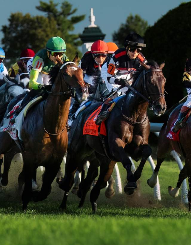 The Breeders' Cup Guide to Lexington