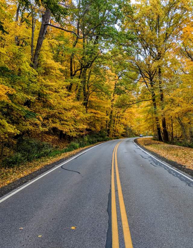 Immerse Yourself in Vibrant Fall Foliage: Wayne County, Ohio