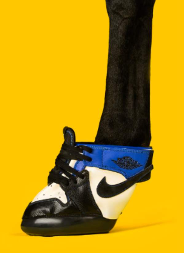 Horse Kicks