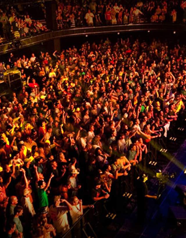A lively concert scene features a packed audience cheering as musicians perform on stage, illuminated by vibrant stage lights.