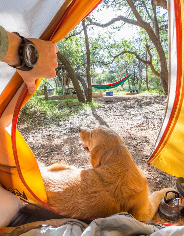 man and dog tent camping at inks lake state park near austin texas