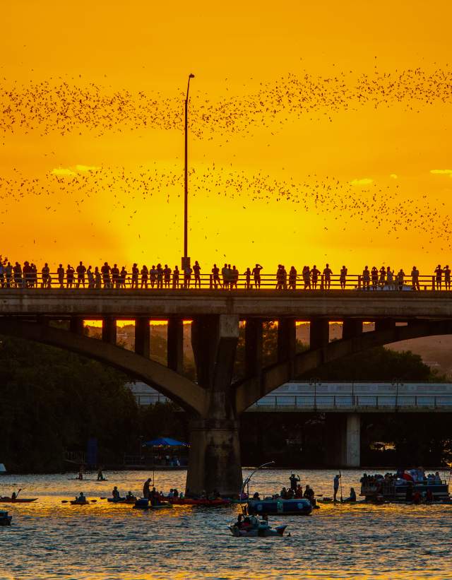 Image of people standing along the Congress Avenue Bridge at sunset watching the bats fly out from beneath the bridge.