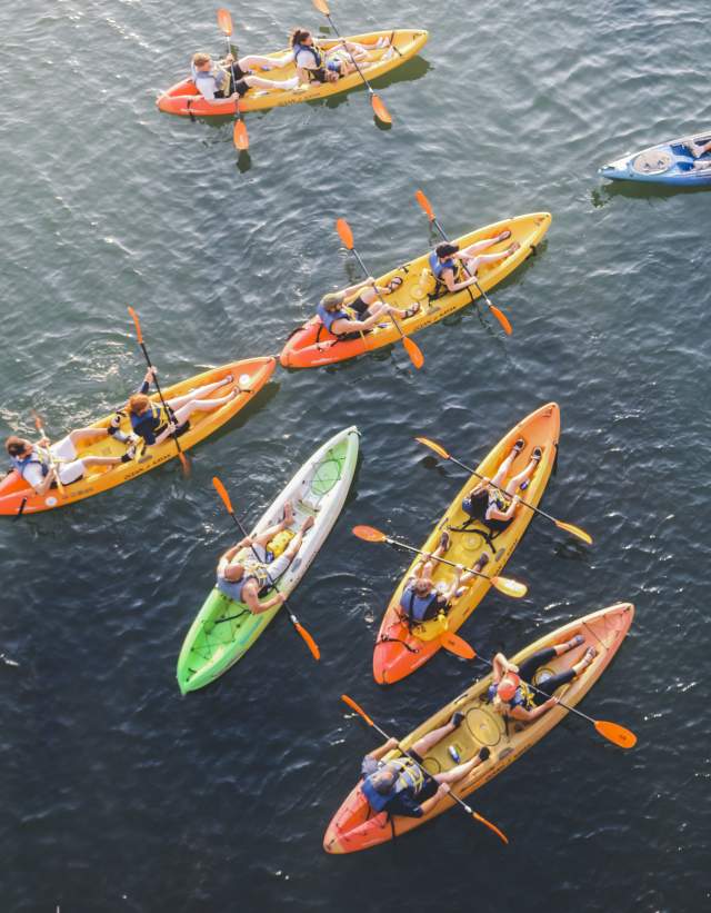 Aerial view of single and dual kayakers on calm water.
