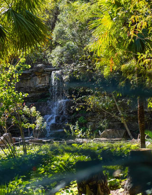 Photo of a rock waterfall surrounded by lush greenery and plants at the Zilker Botanical Garden.