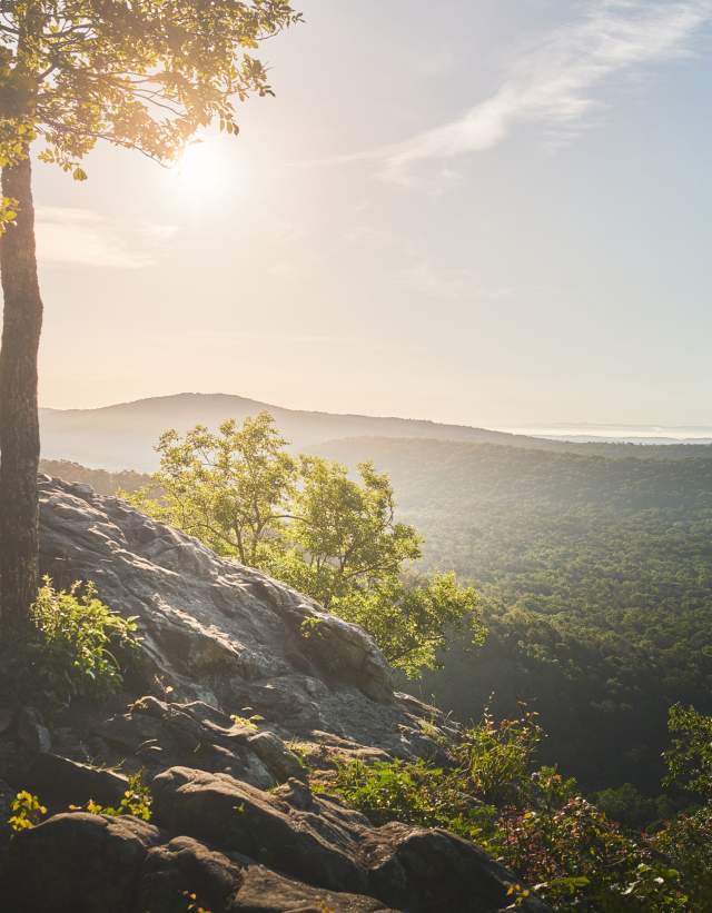 Beautiful sunlight filters through the leaves of a tree on Watchtower Overlook at Double Oak Park.
