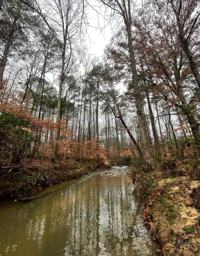 Dunnavant Valley Greenway Park River
