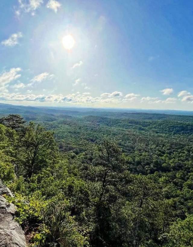 Kings Chair with person