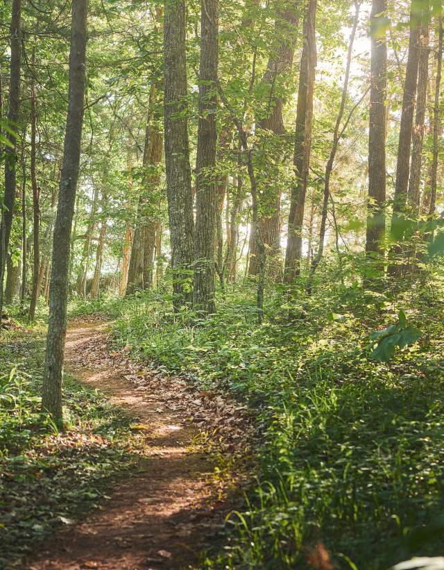 A beautiful green trail at Double Oak Park, just outside of Birmingham, Alabama, is ready for mountain bikers and hikers to enjoy on a sunny day.