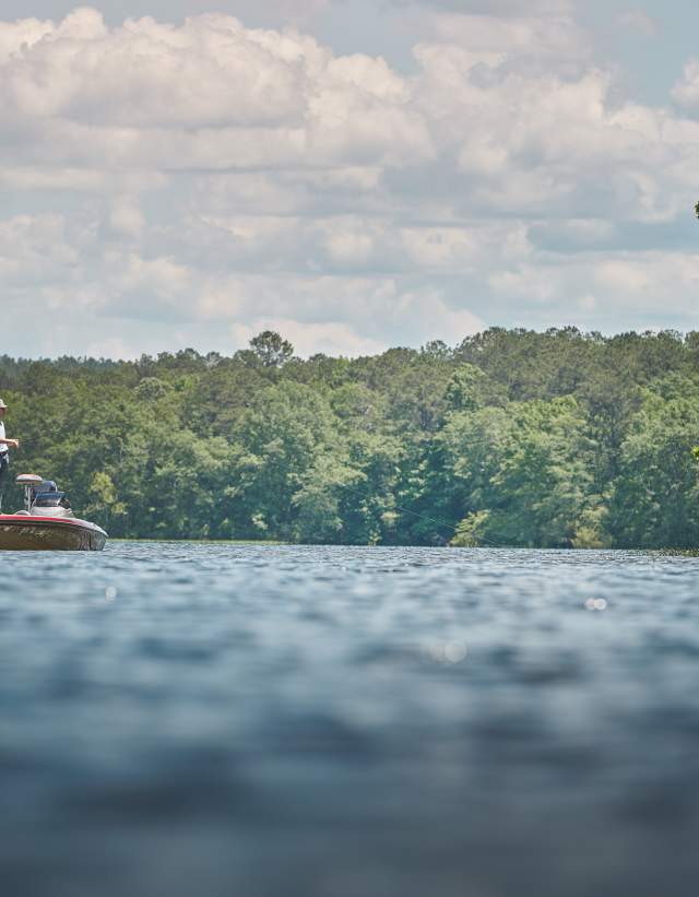 A lone man fishes from a bass boat at Lay Lake. It is a sunny day and the leaves on the trees are green and lush.