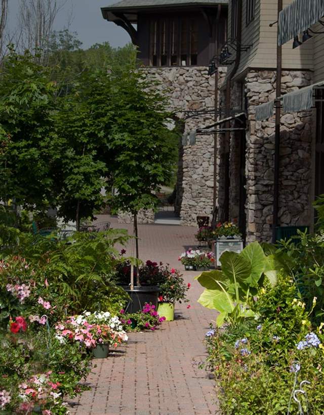 Mt Laurel birmingham