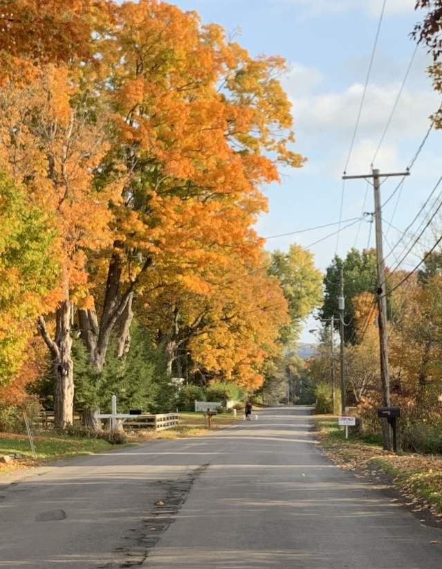 An empty road in Fly Creek, New York during fall with lots of foliage.