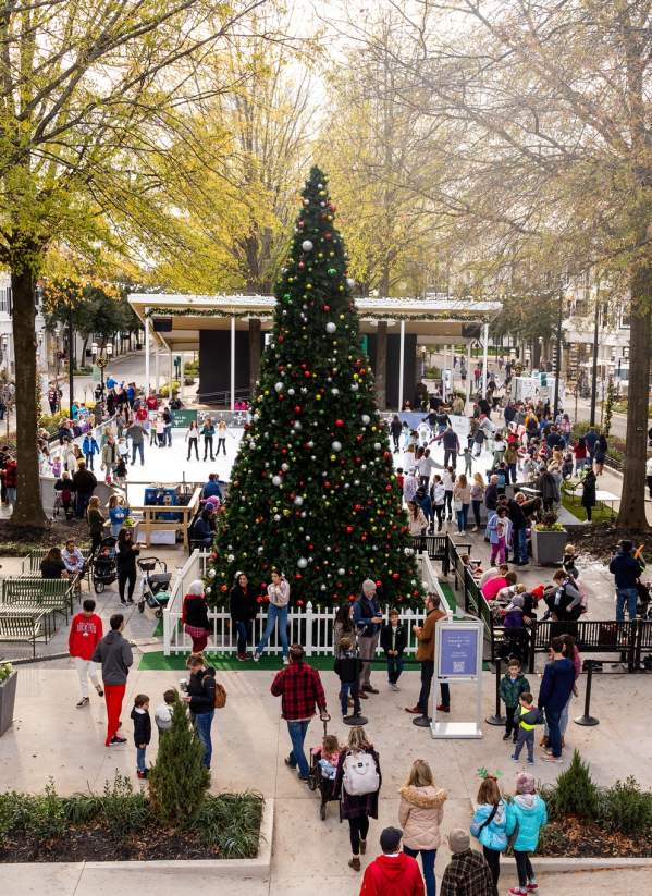 Birkdale Christmas
