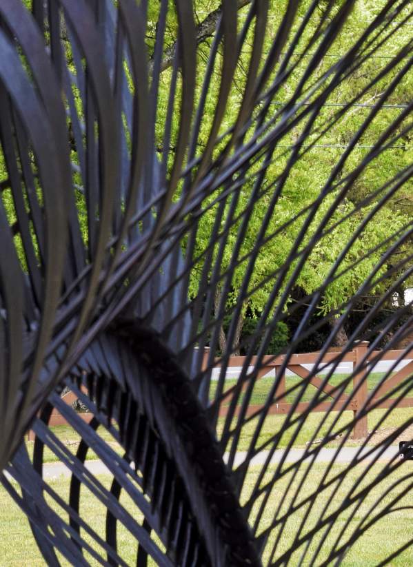 Robbins Park
