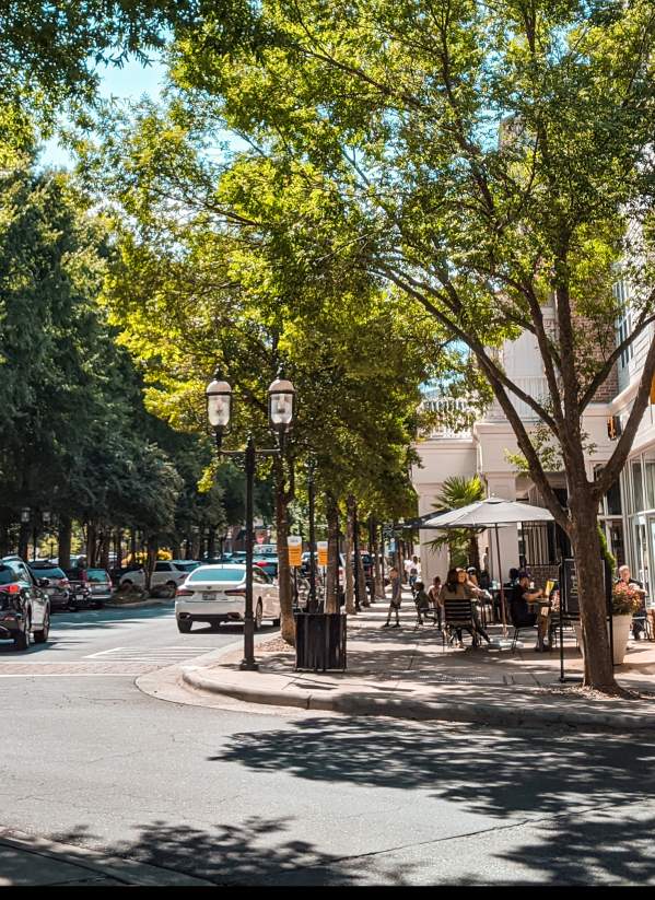 Birkdale Village
