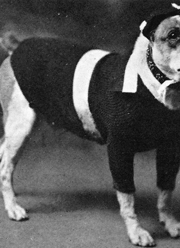 A Ghostly Guide To Norman