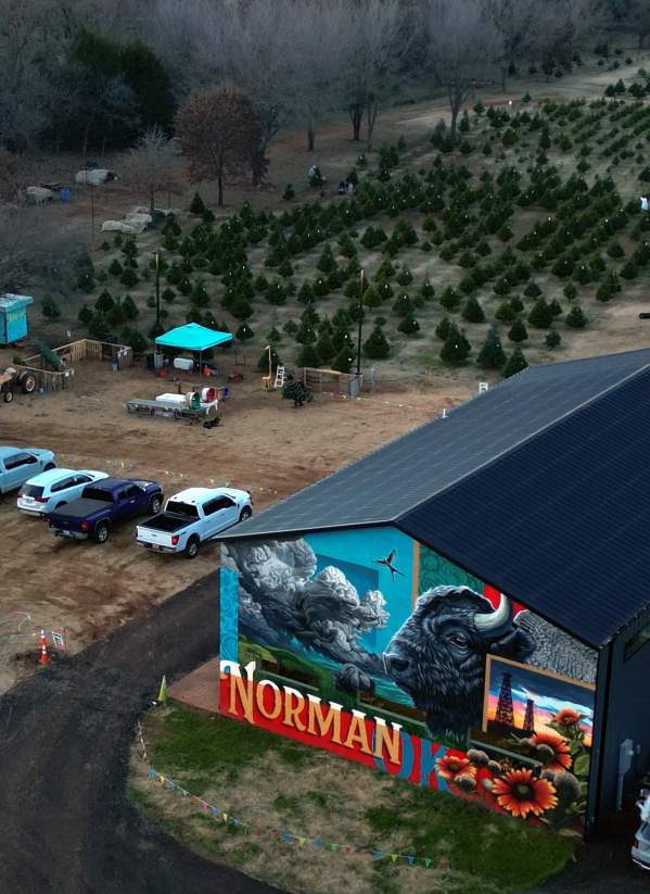 Wells Christmas Tree Farm