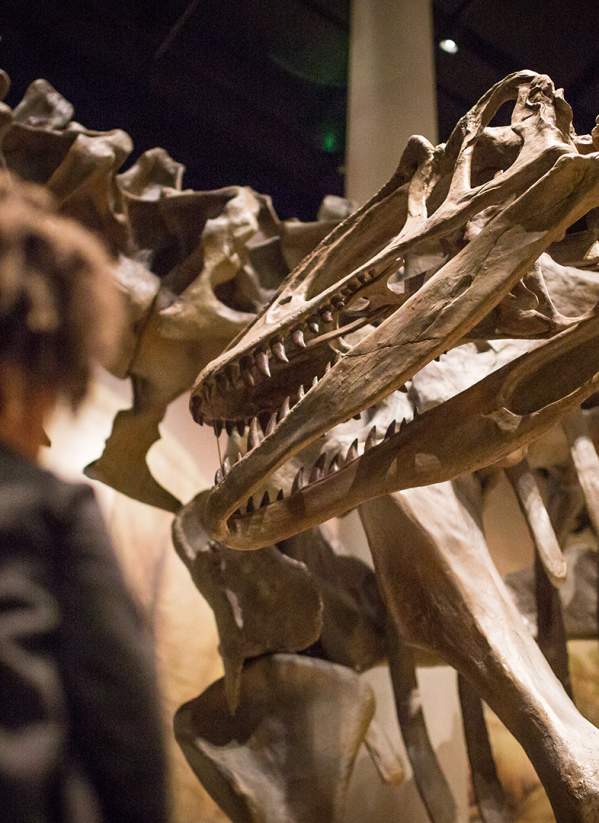 Sam Noble Oklahoma Museum of Natural History