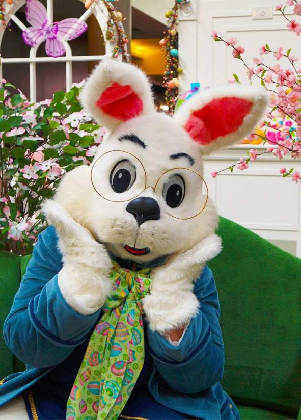 Celebrate Easter in the Stevens Point Area with a visit to the Easter bunny, found at Feltz's Dairy Store.