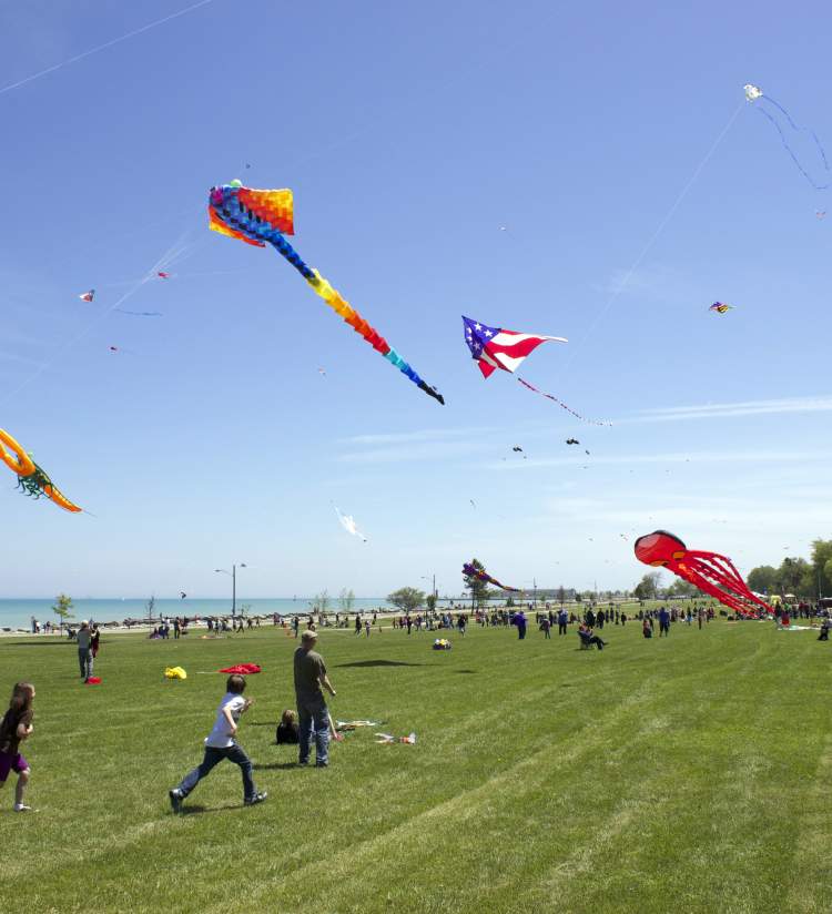 Flying kites