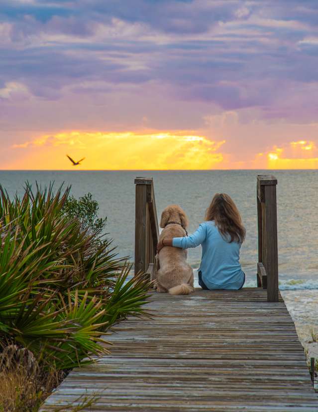 A woman and her dog sit on a boardwalk watching the sunset over the Gulf of Mexico