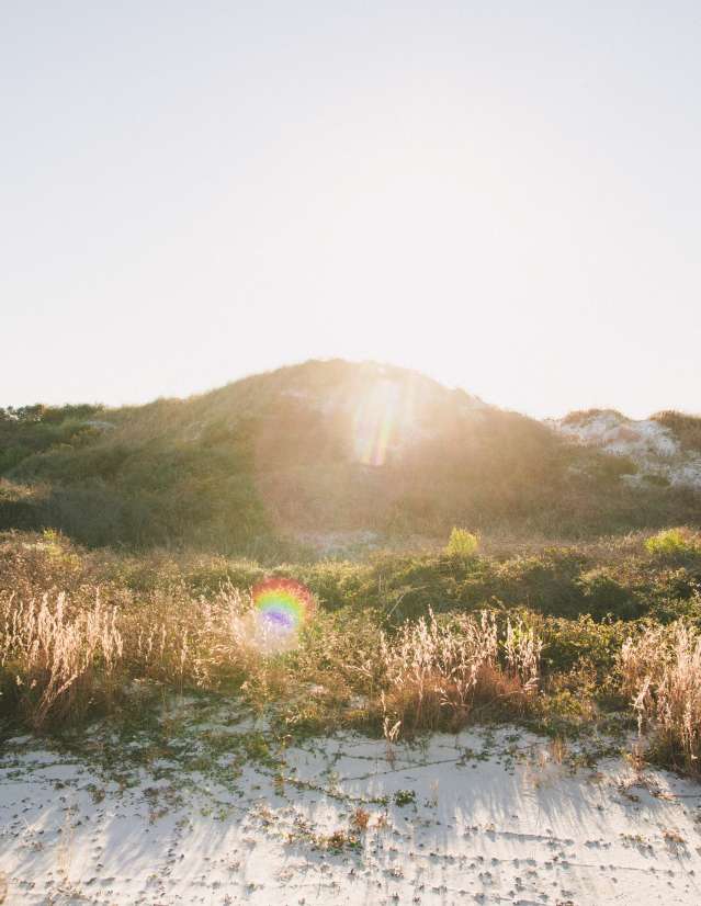 towering natural dunes with lots of sea oats covering the sand and gulf of mexico in the background