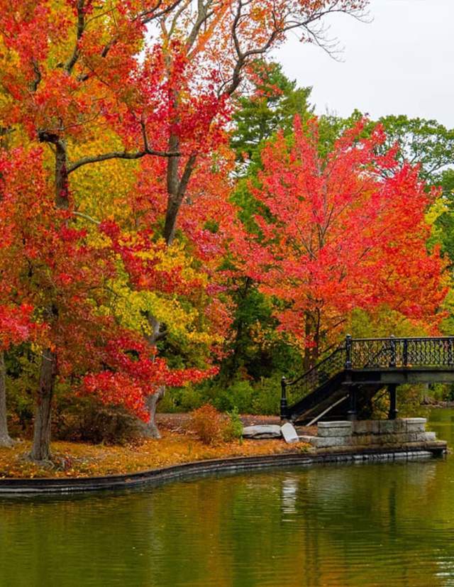 Fall