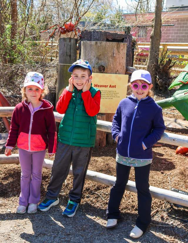 RWP Zoo - Bugs