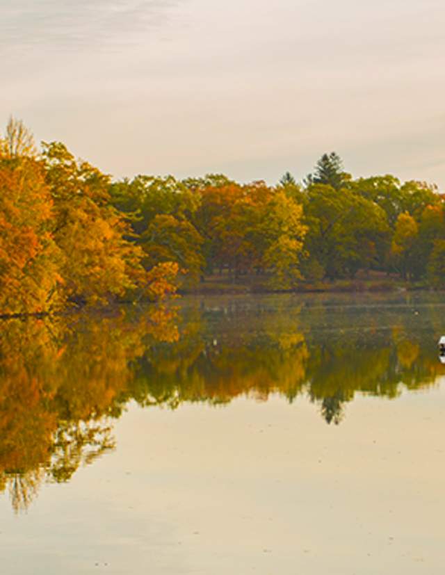 Leaf Peepers Rejoice!