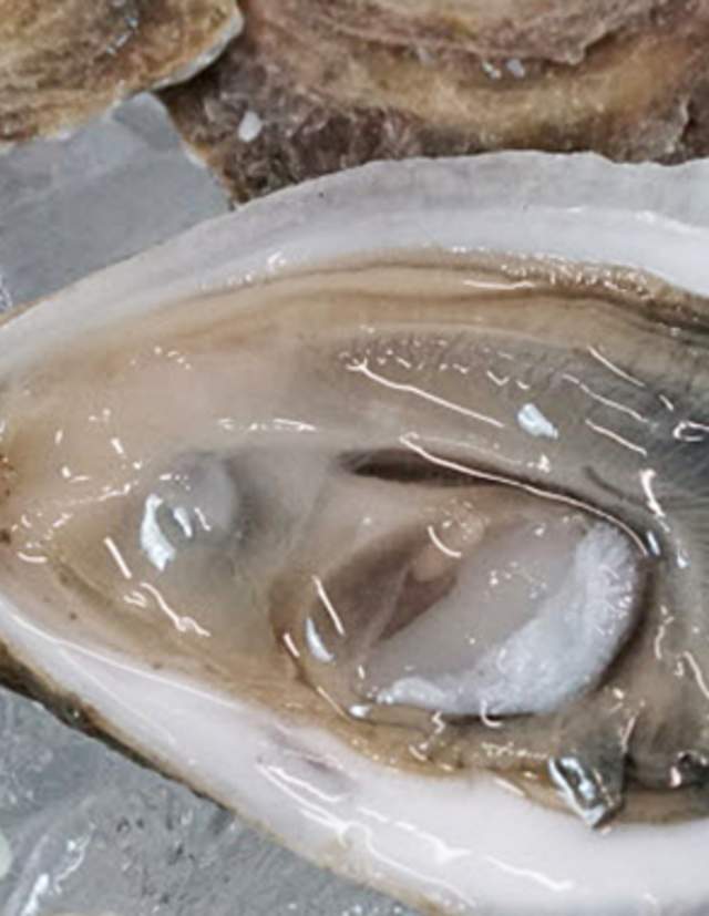 Small Bites: How to Shuck an Oyster