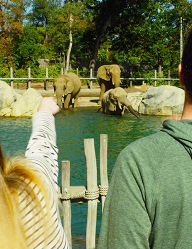 Family At The Roger Williams Park Zoo In Providence, RI