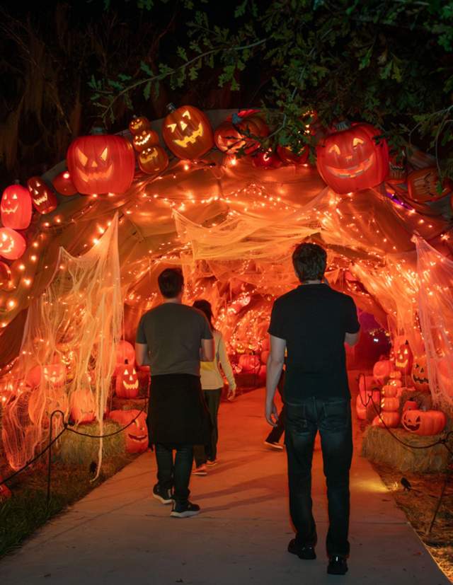 People walking into cave of jack-o-lanterns