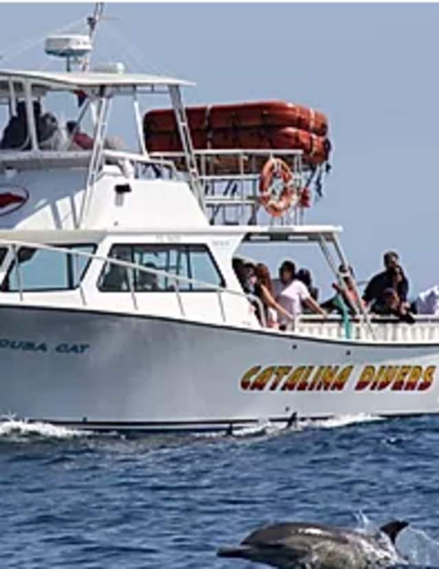 Catalina Divers Supply