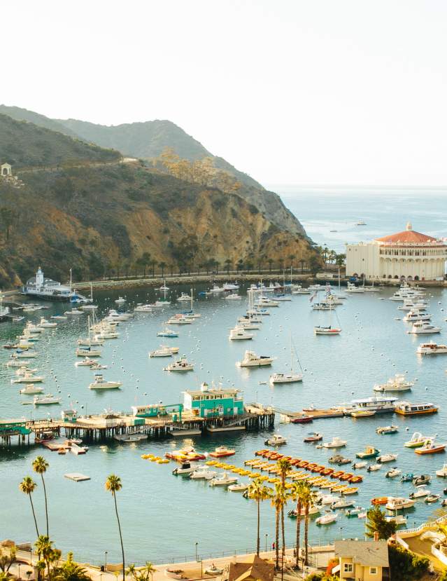 This Week's Events on Catalina Island