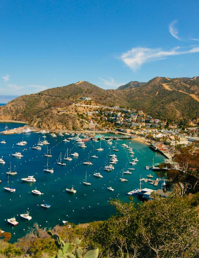 Catalina Island Specials & Packages